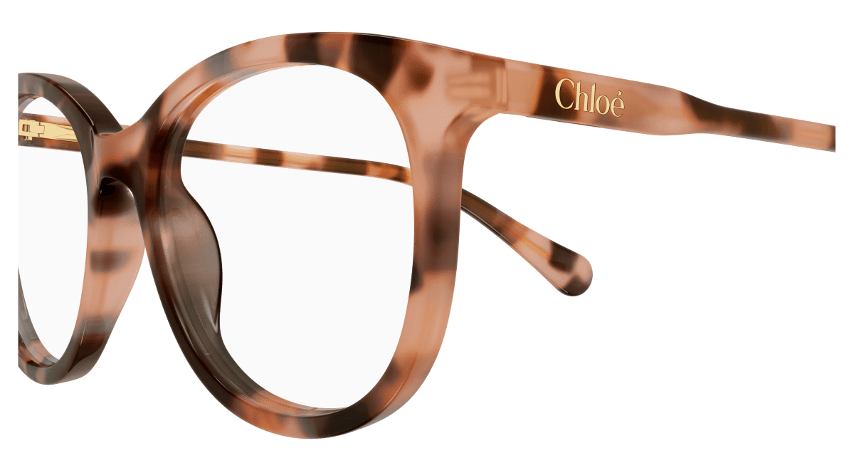 Chloé CC0028O Havana 002 889652645681