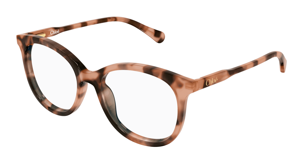 Chloé CC0028O Havana 002 889652645681