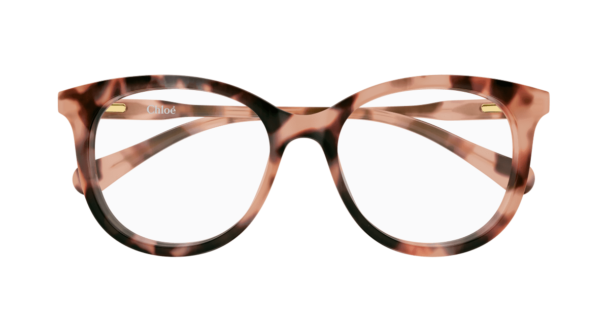 Chloé CC0028O Havana 002 889652645681