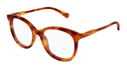 Chloé CC0028O Havana 003 889652645698