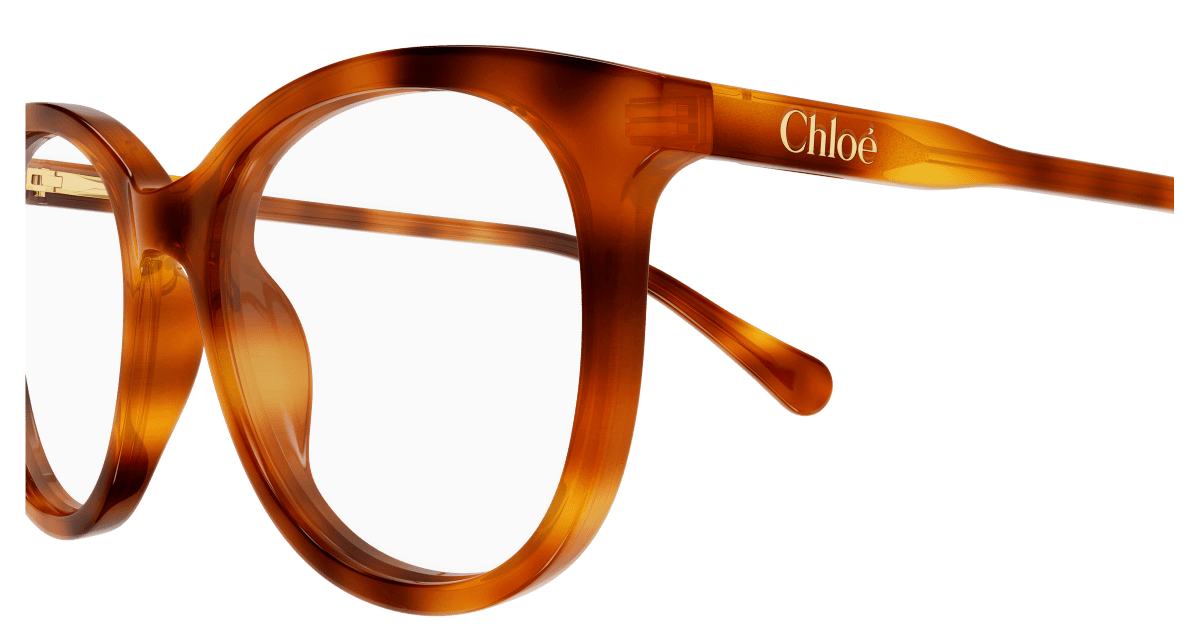 Chloé CC0028O Havana 003 889652645698