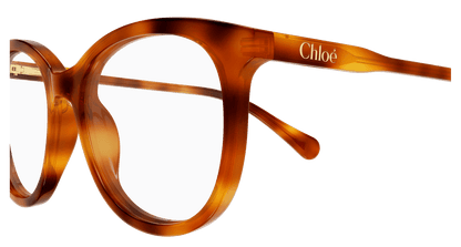 Chloé CC0028O Havana 003 889652645698
