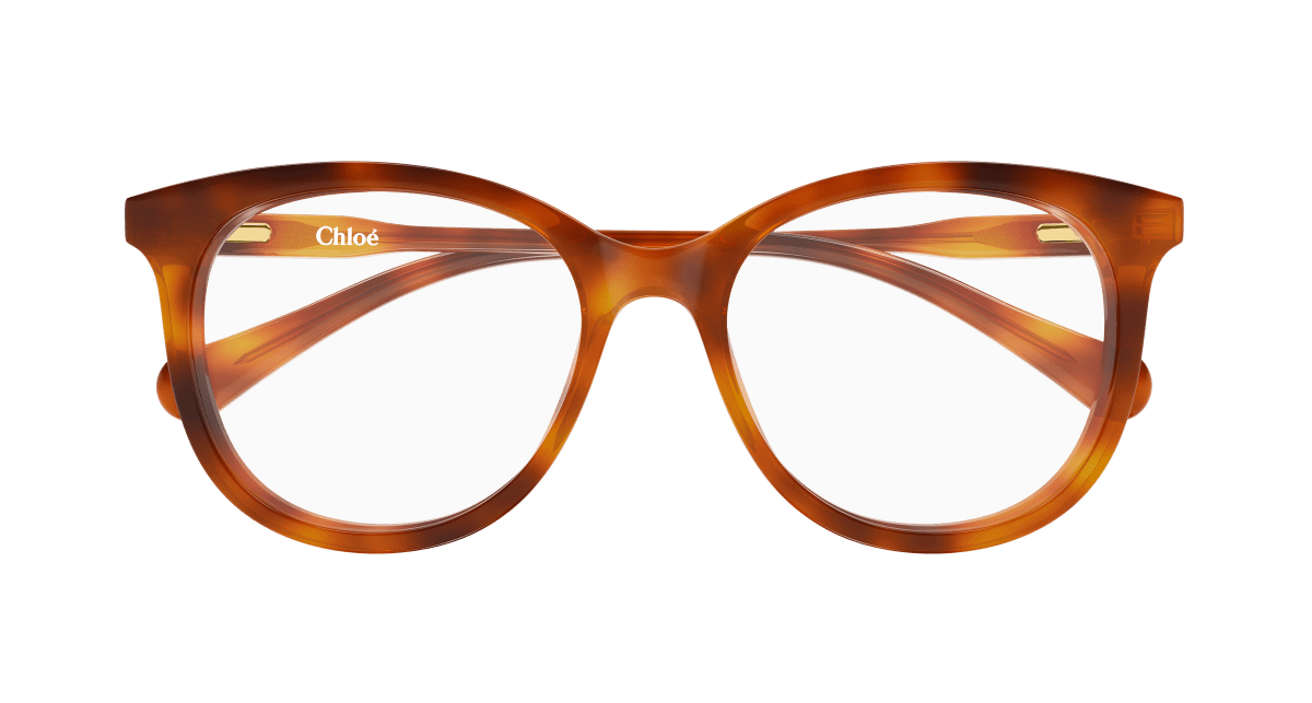 Chloé CC0028O Havana 003 889652645698