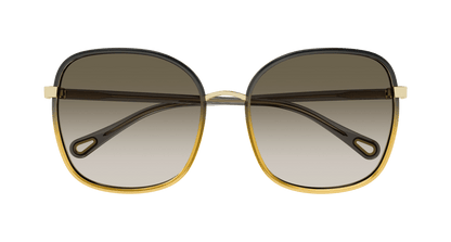 Chloé CH0031S Black/Brown, 59mm 889652451183