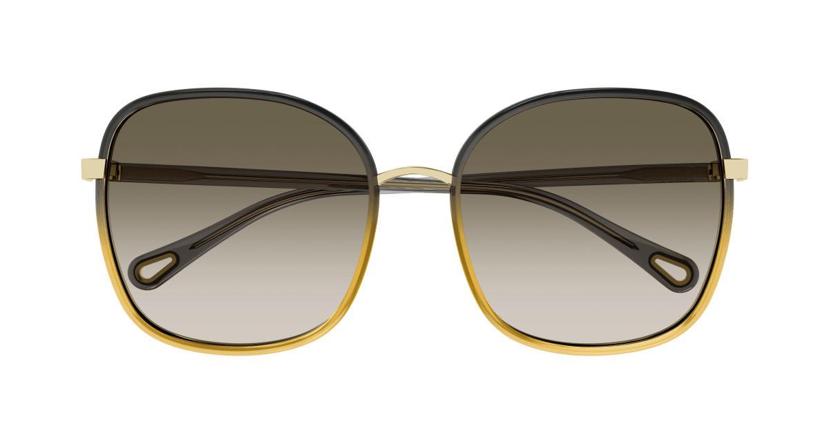 Chloé CH0031S Black/Brown, 59mm 889652451183