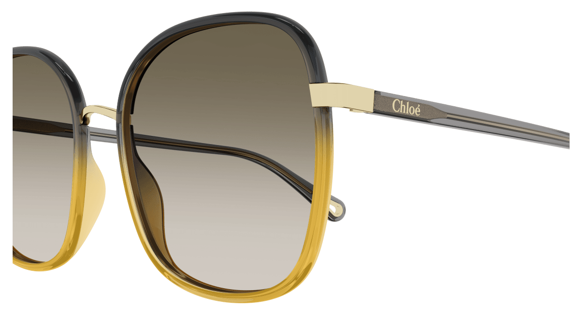 Chloé CH0031S Black/Brown, 59mm 889652451183