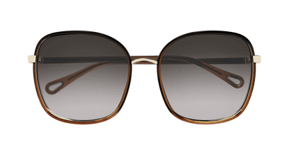 Chloé CH0031S Black/Grey, 59mm 889652353388