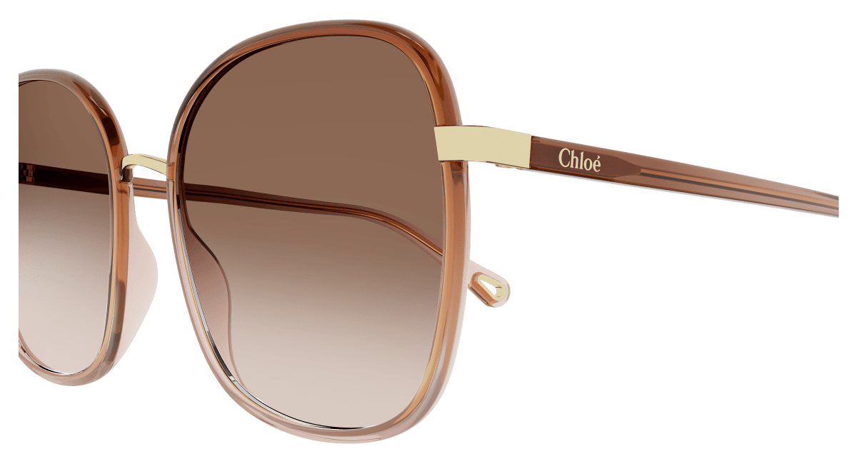 Chloé CH0031S Brown, 56mm 889652403571