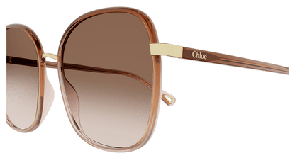 Chloé CH0031S Brown, 56mm 889652403571