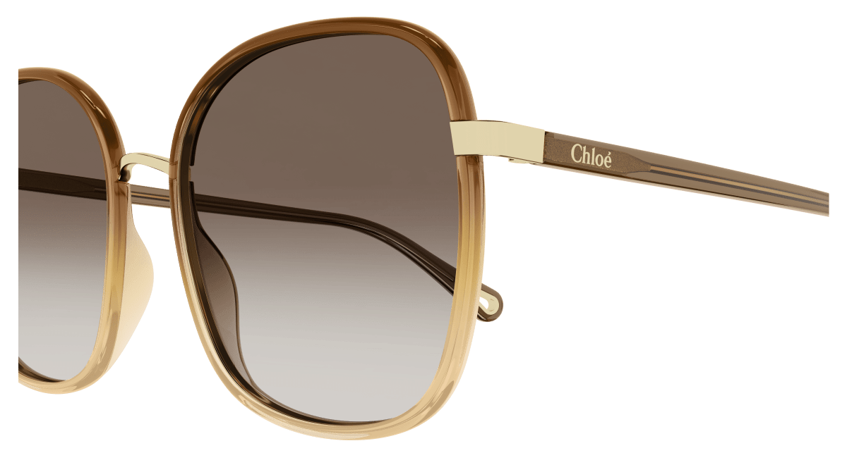 Chloé CH0031S Brown, 59mm 889652451206