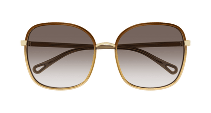 Chloé CH0031S Brown, 59mm 889652451206