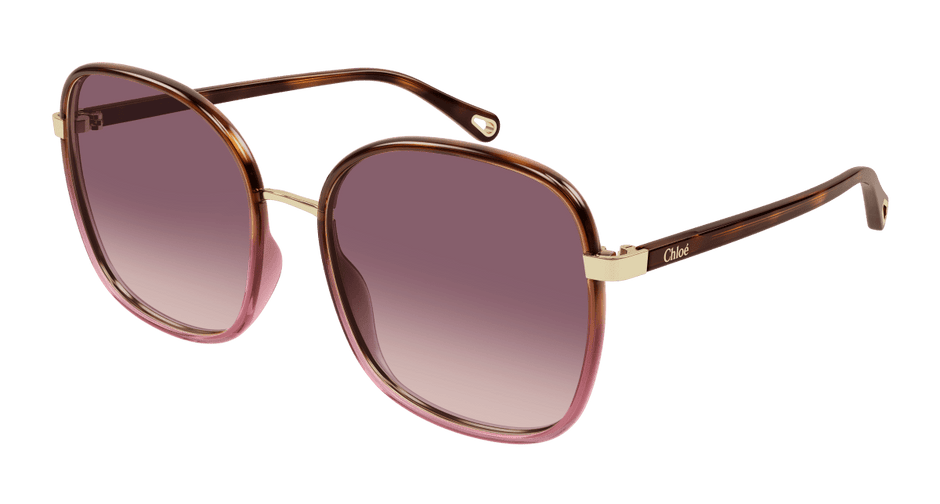 Chloé CH0031S Havana/Red, 56mm 889652543451