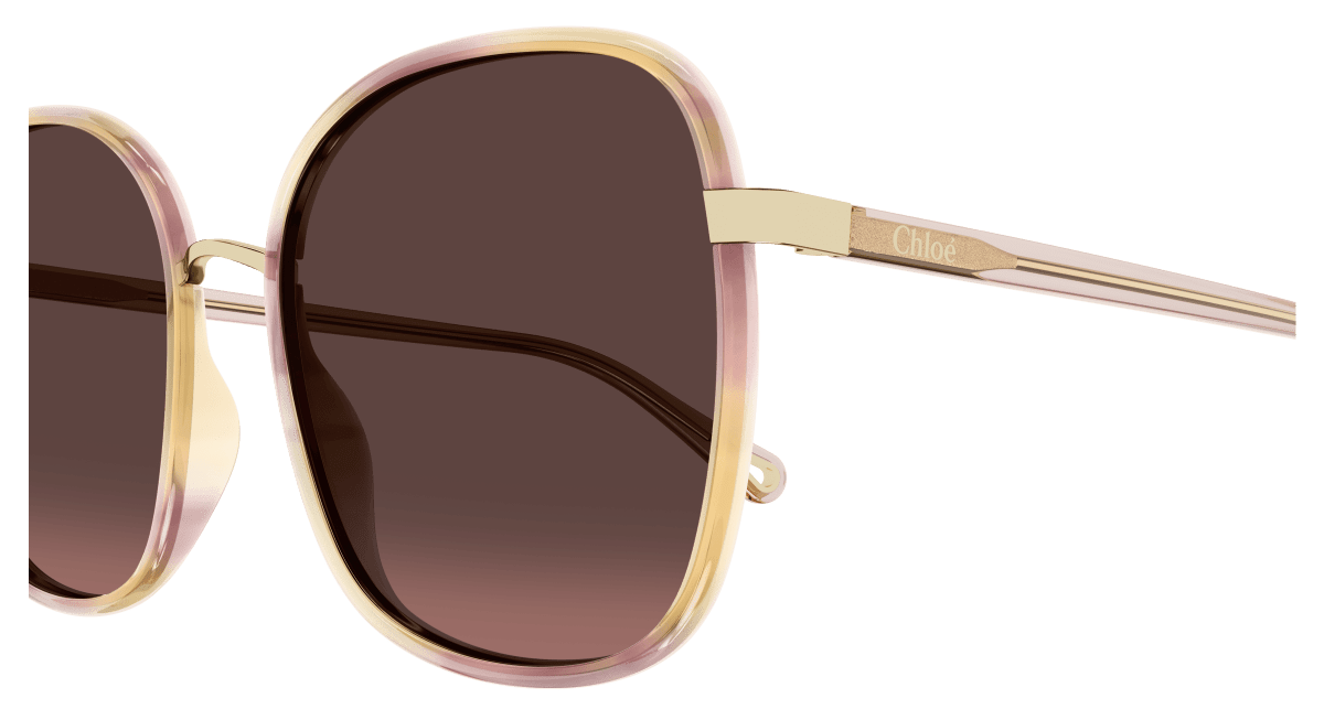 Chloé CH0031S Havana/Red, 59mm 889652515618