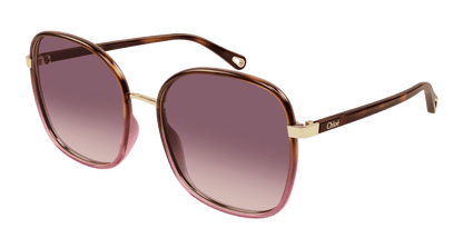 Chloé CH0031S Havana/Red, 59mm 889652543475