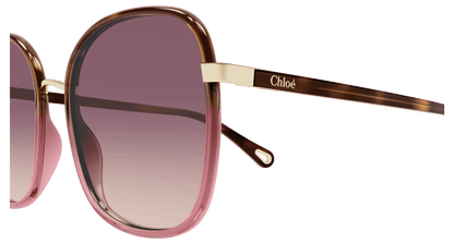 Chloé CH0031S Havana/Red, 59mm 889652543475
