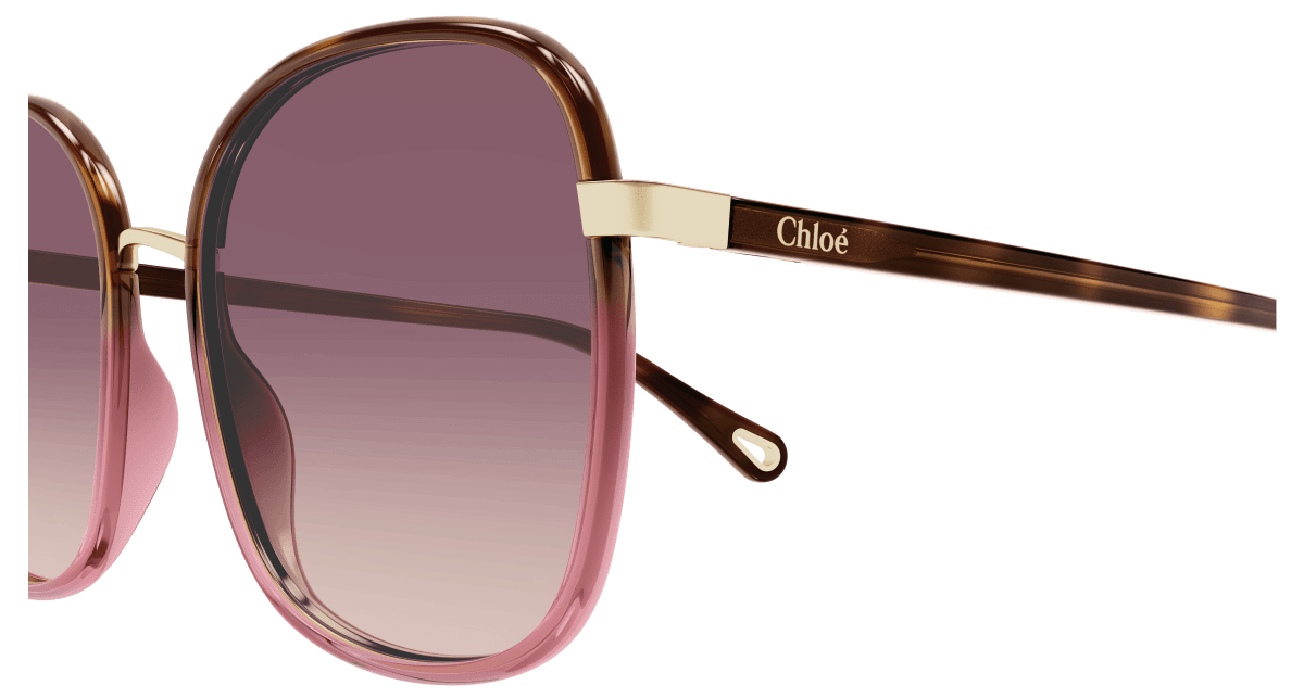 Chloé CH0031S Havana/Red, 59mm 889652543475
