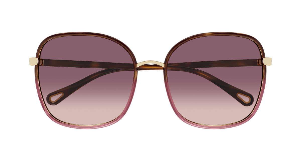 Chloé CH0031S Havana/Red, 59mm 889652543475