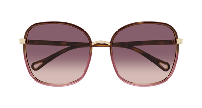 Chloé CH0031S Havana/Red, 59mm 889652543475