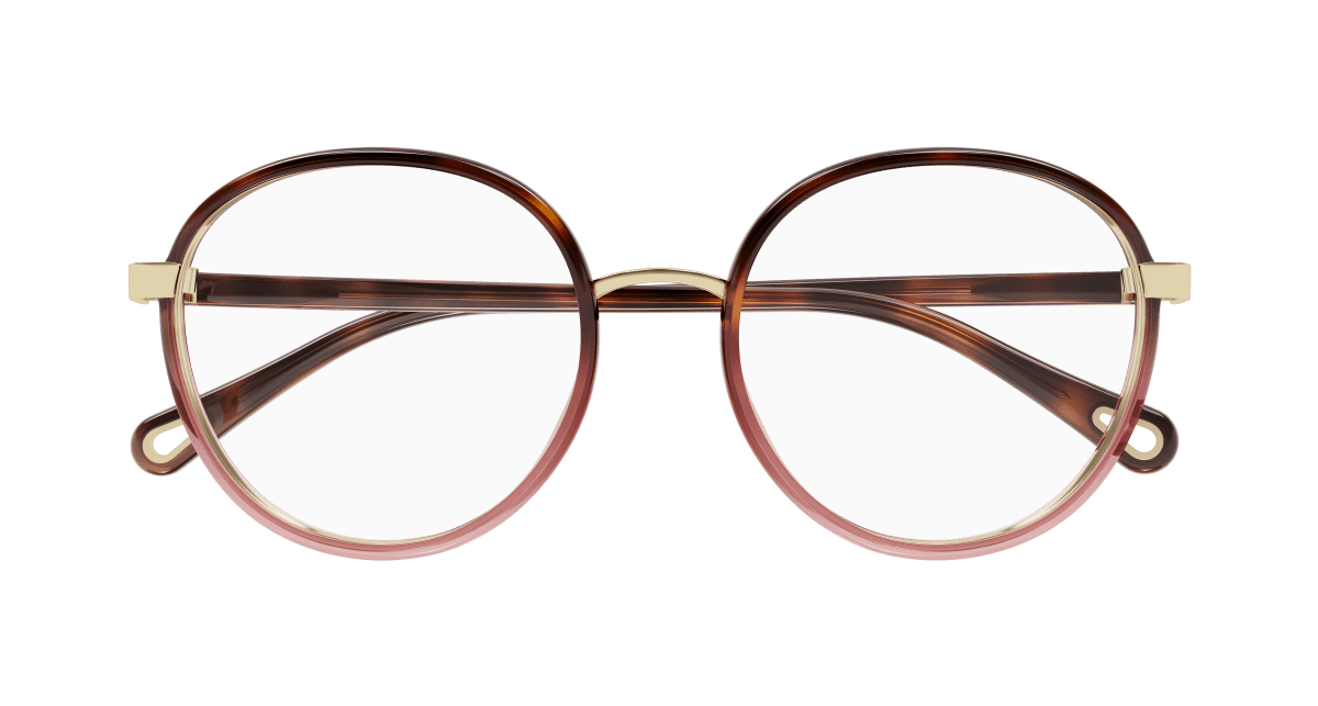 Chloé CH0033O Havana, 51mm 889652543208