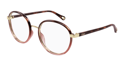 Chloé CH0033O Havana, 51mm 889652543208