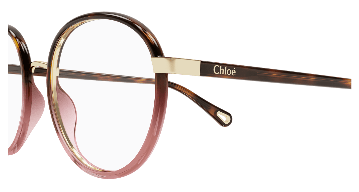 Chloé CH0033O Havana, 51mm 889652543208