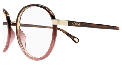 Chloé CH0033O Havana, 51mm 889652543208