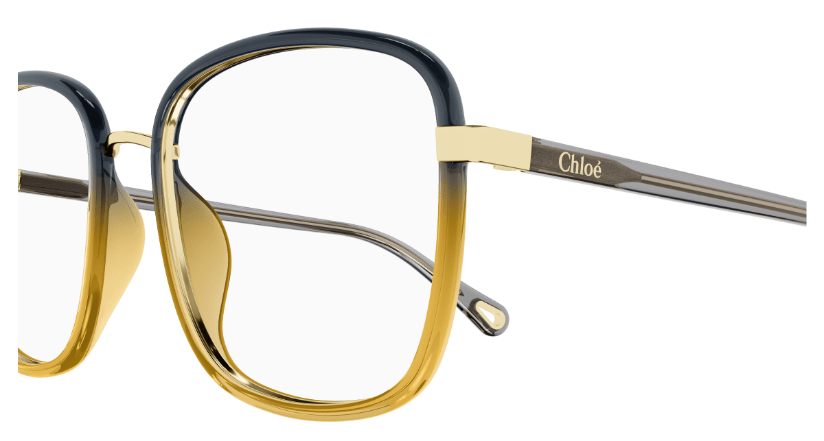 Chloé CH0034O Black, 53mm 889652451244