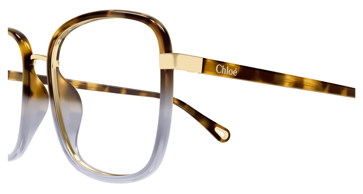 Chloé CH0034O Havana, 50mm 889652543499