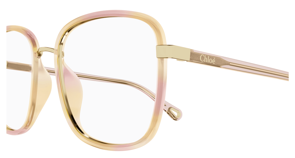 Chloé CH0034O Havana, 53mm 889652515632