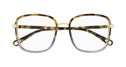 Chloé CH0034O Havana, 53mm 889652543512