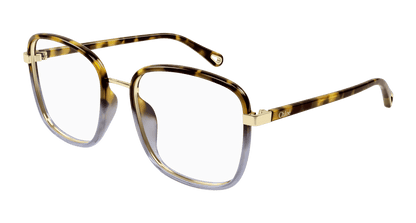 Chloé CH0034O Havana, 53mm 889652543512