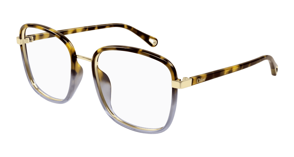 Chloé CH0034O Havana, 53mm 889652543512