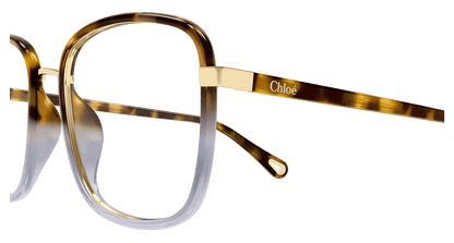 Chloé CH0034O Havana, 53mm 889652543512