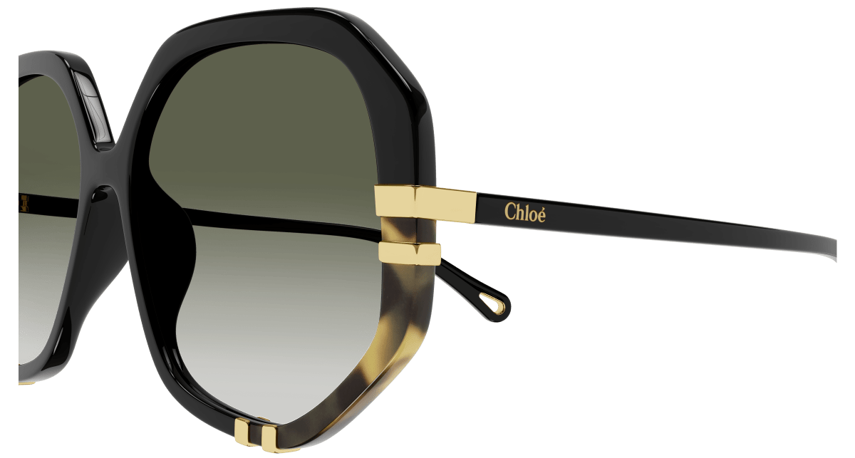 Chloé CH0105S Black/Green, 55mm 889652403519