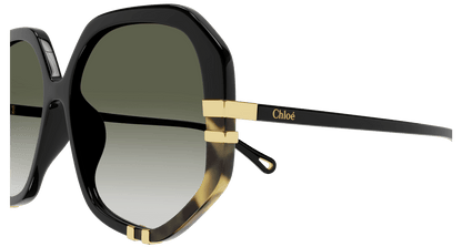 Chloé CH0105S Black/Green, 55mm 889652403519