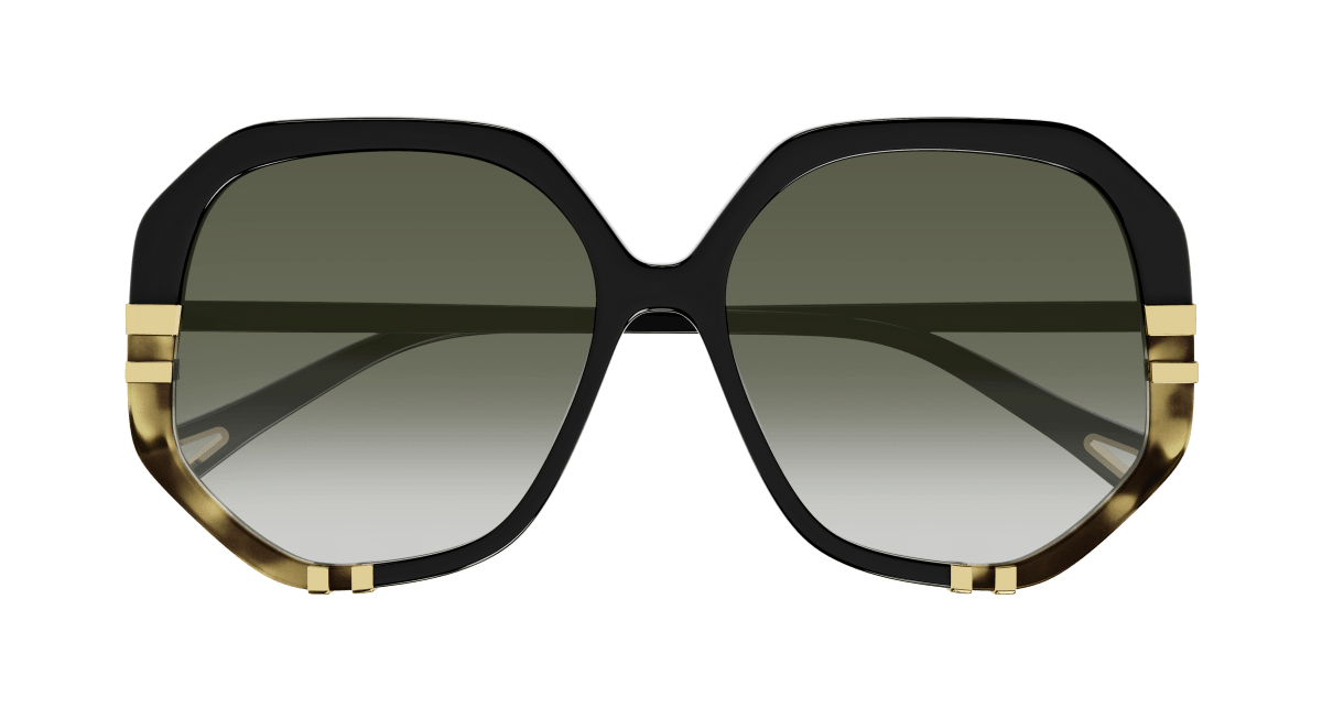 Chloé CH0105S Black/Green, 55mm 889652403519