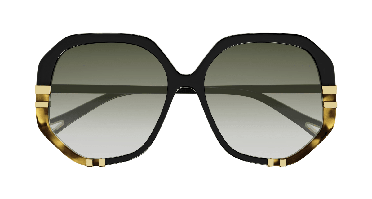 Chloé CH0105S Black/Green, 58mm 889652371436