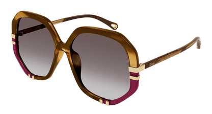 Chloé CH0105S Havana/Brown, 55mm 889652451176