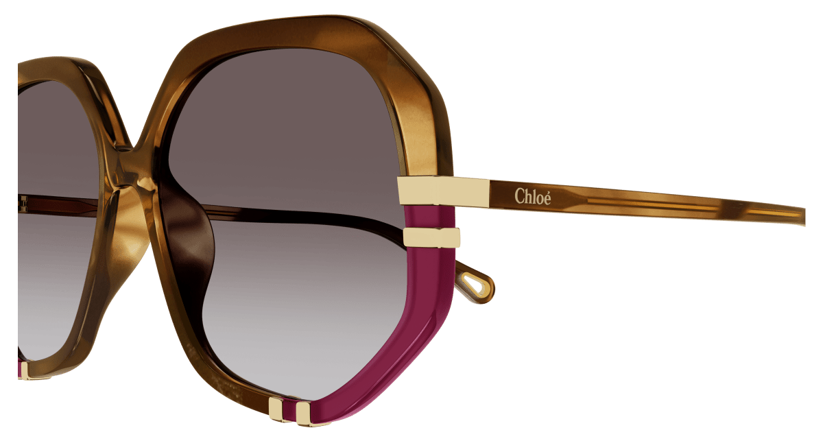 Chloé CH0105S Havana/Brown, 55mm 889652451176