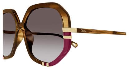 Chloé CH0105S Havana/Brown, 55mm 889652451176