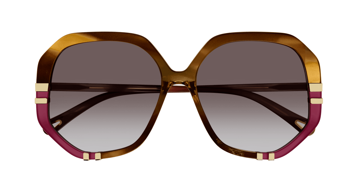 Chloé CH0105S Havana/Brown, 55mm 889652451176