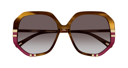 Chloé CH0105S Havana/Brown, 55mm 889652451176