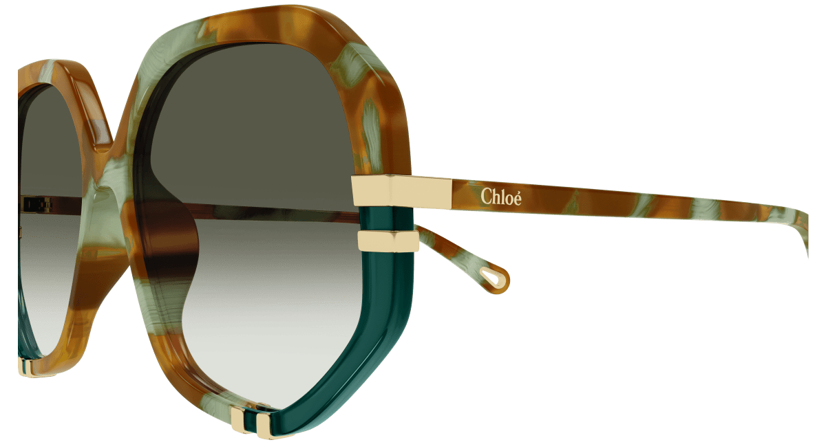 Chloé CH0105S Havana/Green, 55mm 889652485584