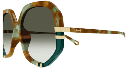 Chloé CH0105S Havana/Green, 55mm 889652485584