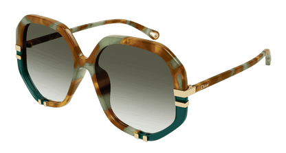 Chloé CH0105S Havana/Green, 55mm 889652485584