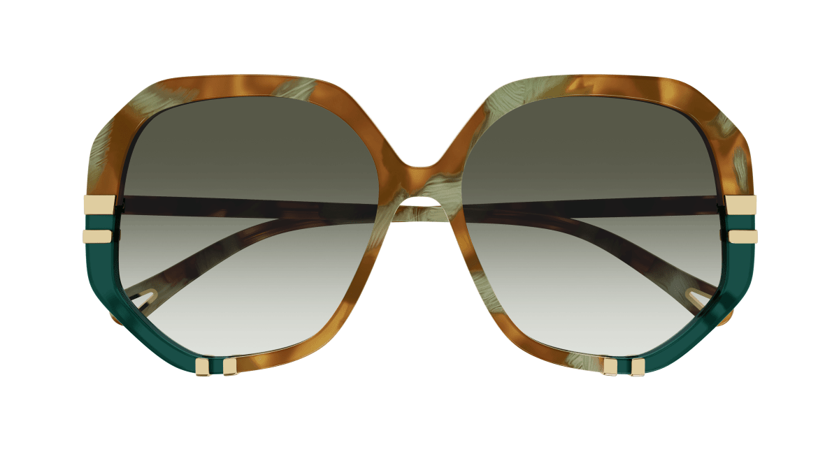 Chloé CH0105S Havana/Green, 55mm 889652485584