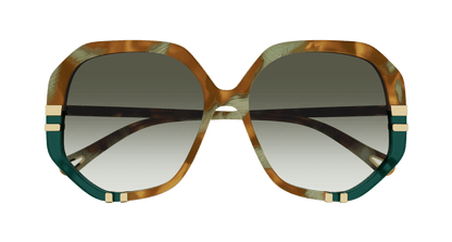 Chloé CH0105S Havana/Green, 55mm 889652485584