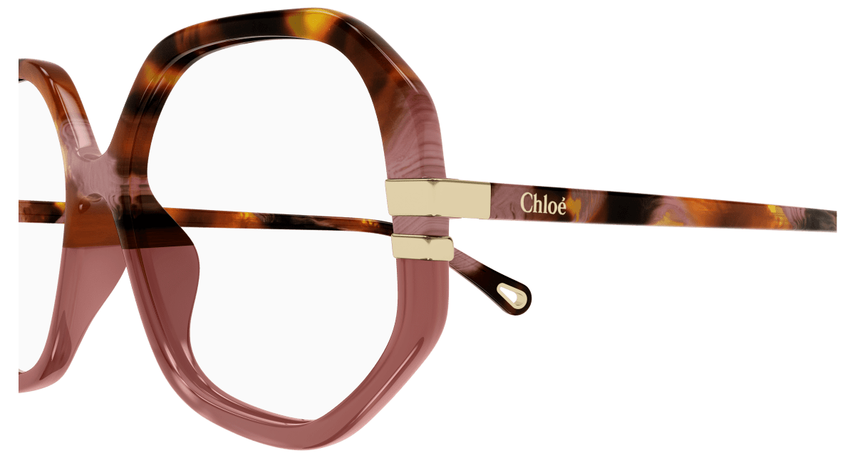 Chloé CH0107O Brown, 54mm 889652485737