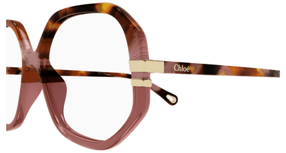Chloé CH0107O Brown, 54mm 889652485737