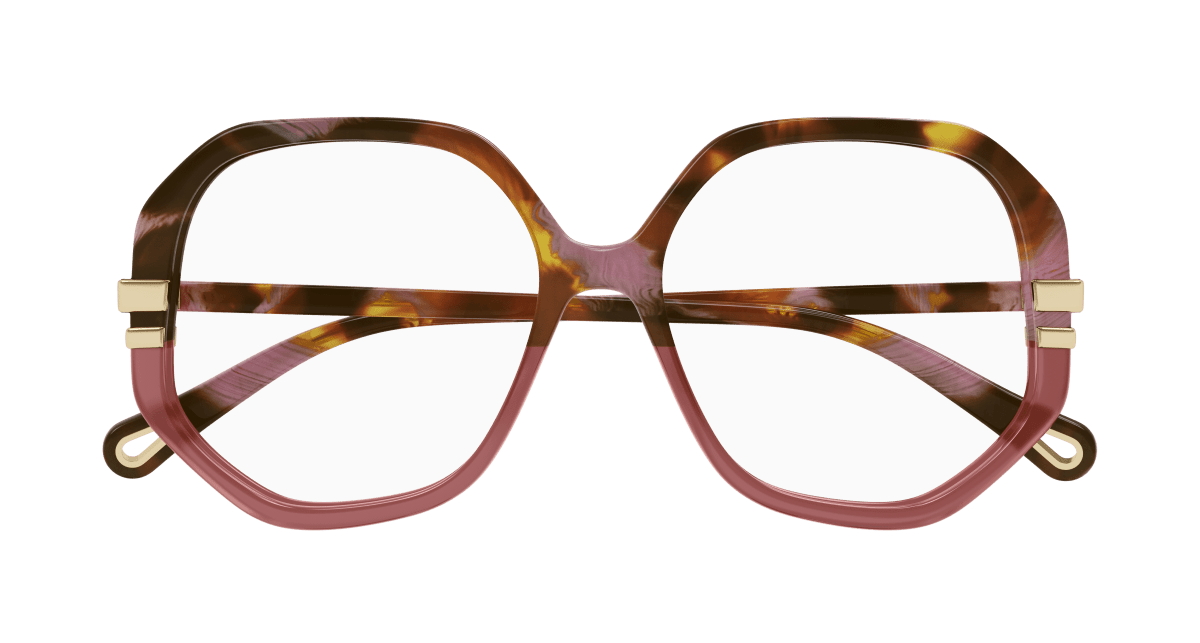 Chloé CH0107O Brown, 54mm 889652485737